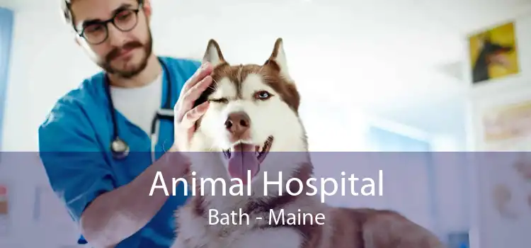Animal Hospital Bath - Maine
