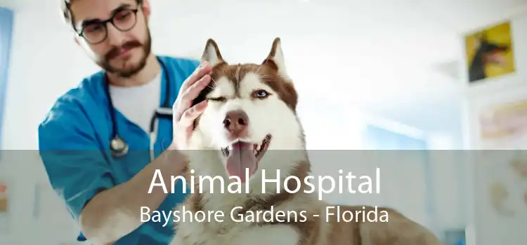 Animal Hospital Bayshore Gardens - Florida