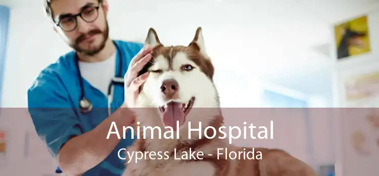 Animal Hospital Cypress Lake - Florida