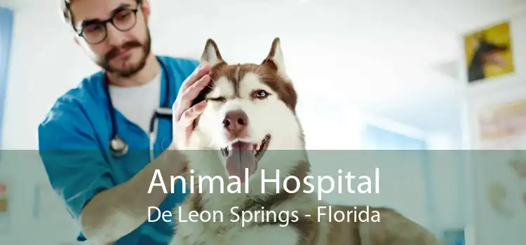 Animal Hospital De Leon Springs - Florida