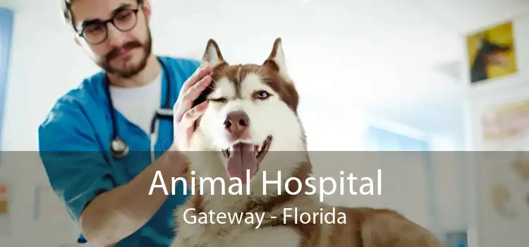 Animal Hospital Gateway - Florida