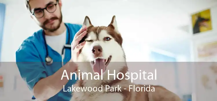 Animal Hospital Lakewood Park - Florida