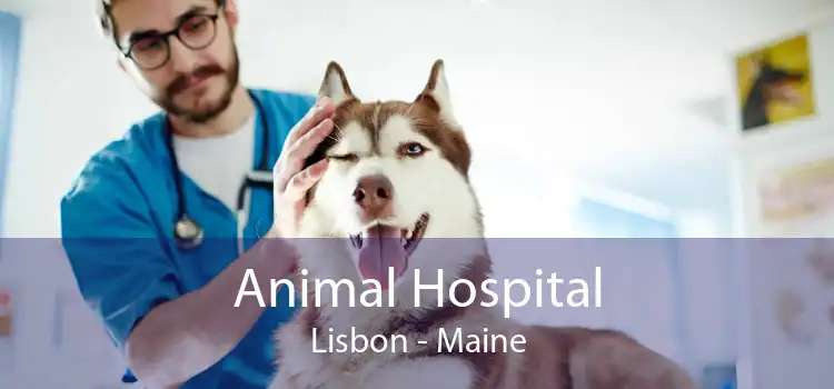 Animal Hospital Lisbon - Maine