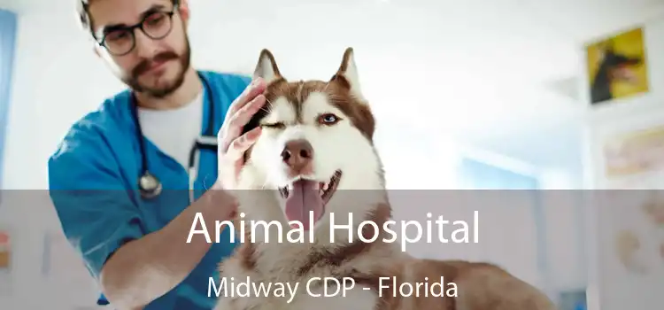 Animal Hospital Midway CDP - Florida