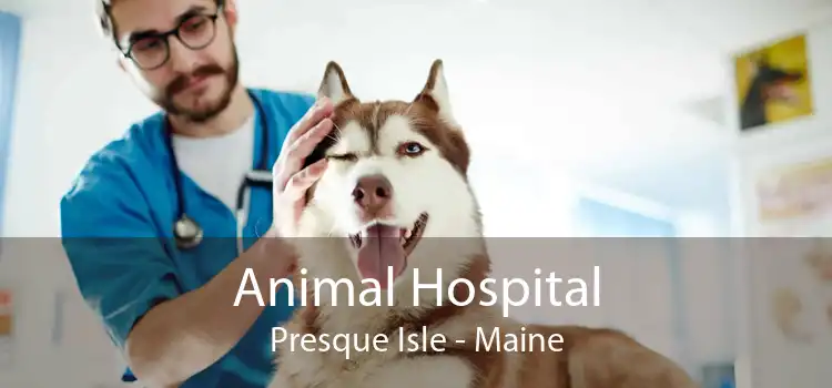 Animal Hospital Presque Isle - Maine