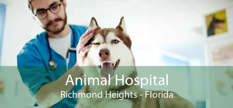 Animal Hospital Richmond Heights - Florida