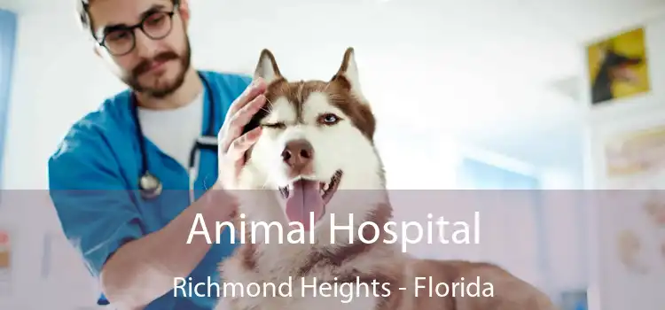 Animal Hospital Richmond Heights - Florida