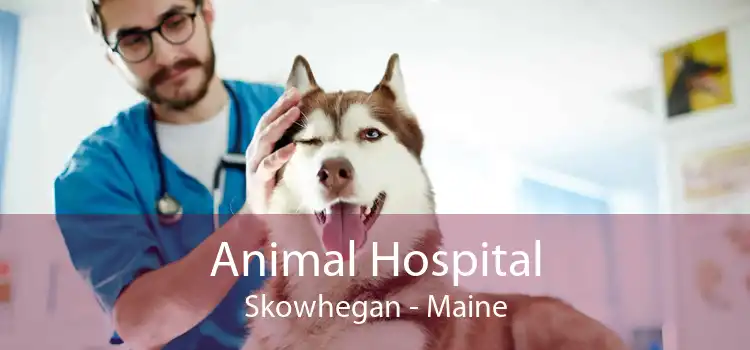 Animal Hospital Skowhegan - Maine