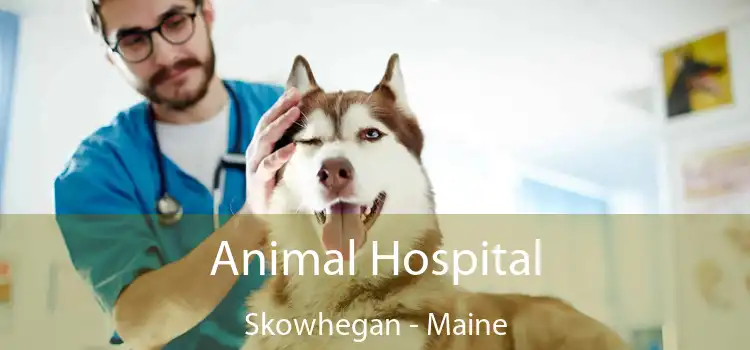 Animal Hospital Skowhegan - Maine
