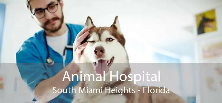 Animal Hospital South Miami Heights - Florida