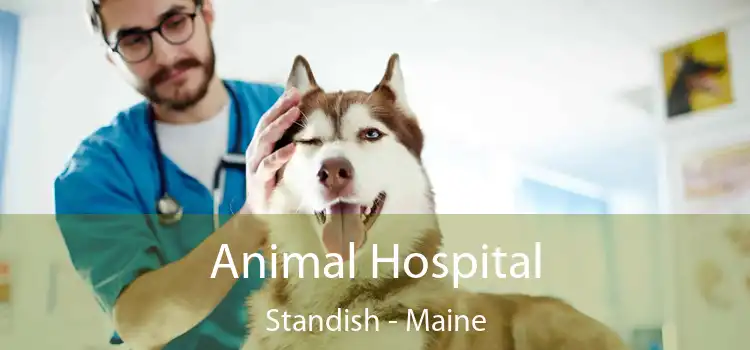 Animal Hospital Standish - Maine