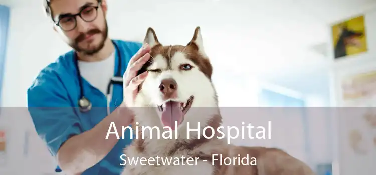 Animal Hospital Sweetwater - Florida