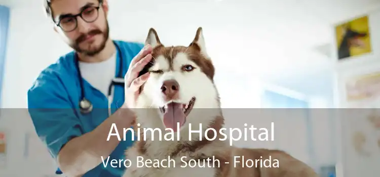 Animal Hospital Vero Beach South - Florida