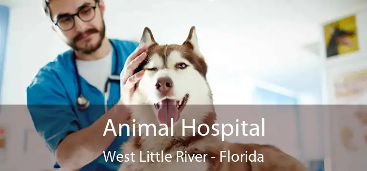 Animal Hospital West Little River - Florida