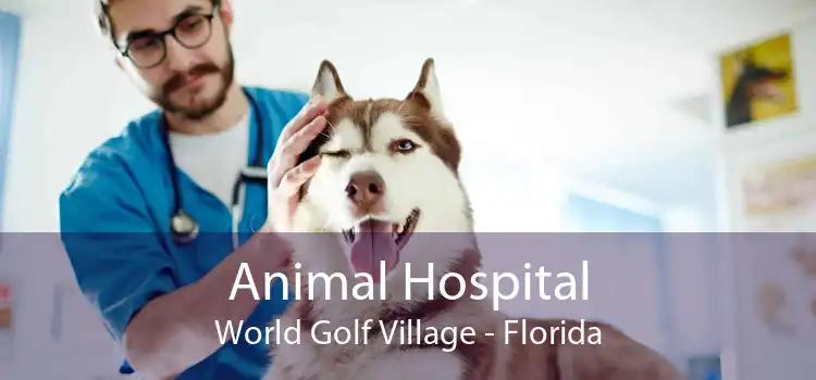 Animal Hospital World Golf Village - Florida