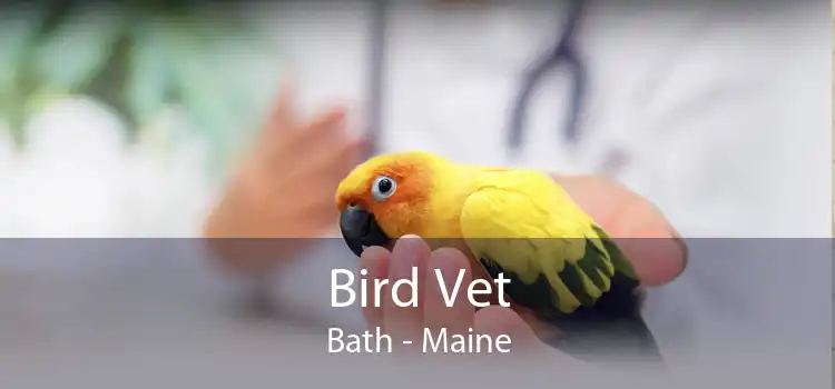 Bird Vet Bath - Maine