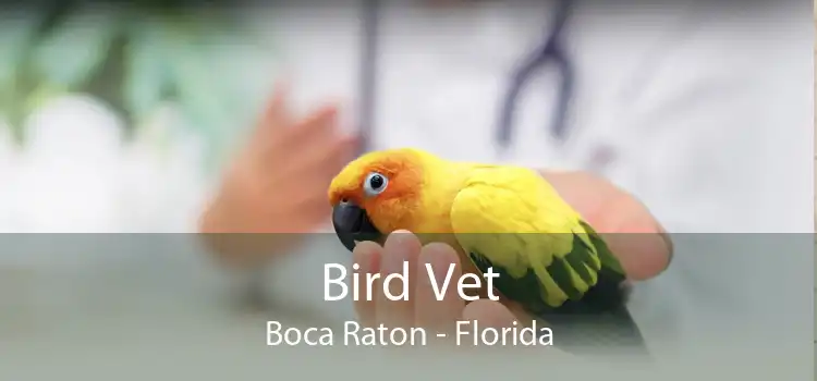 Bird Vet Boca Raton - Florida