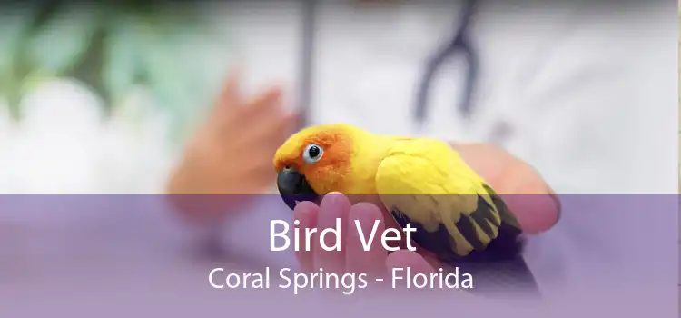 Bird Vet Coral Springs - Florida