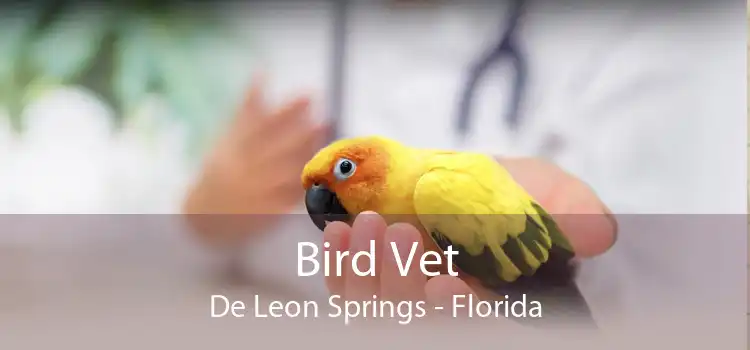 Bird Vet De Leon Springs - Florida