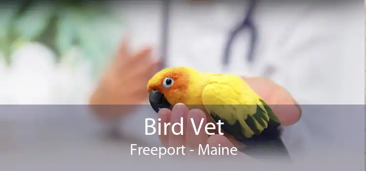 Bird Vet Freeport - Maine