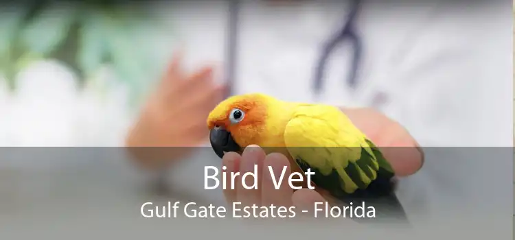 Bird Vet Gulf Gate Estates - Florida