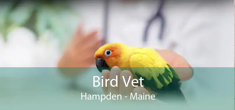 Bird Vet Hampden - Maine