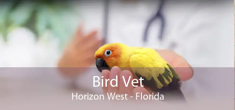 Bird Vet Horizon West - Florida