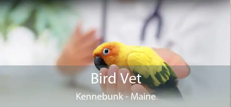 Bird Vet Kennebunk - Maine