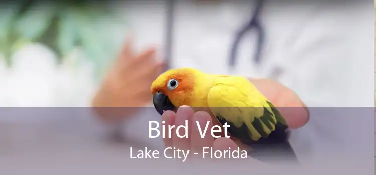 Bird Vet Lake City - Florida