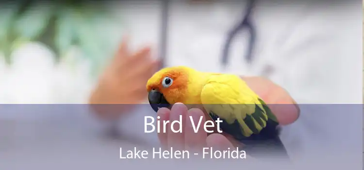 Bird Vet Lake Helen - Florida