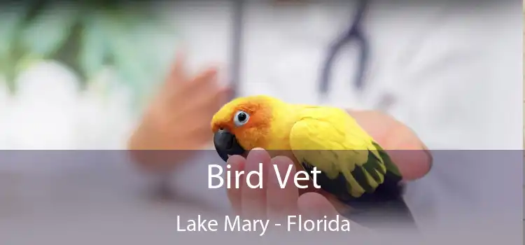 Bird Vet Lake Mary - Florida
