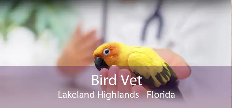 Bird Vet Lakeland Highlands - Florida