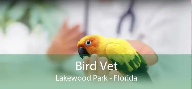 Bird Vet Lakewood Park - Florida