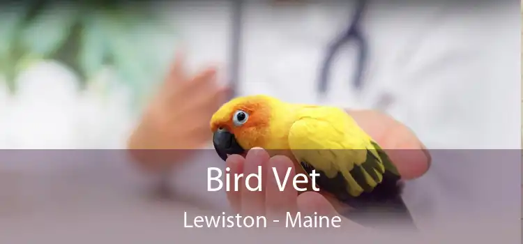 Bird Vet Lewiston - Maine