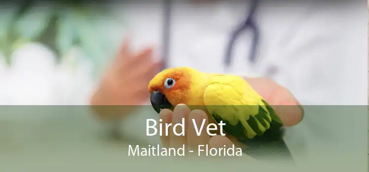 Bird Vet Maitland - Florida