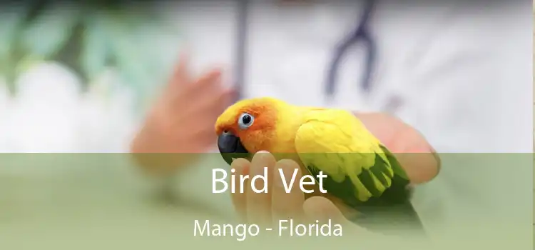 Bird Vet Mango - Florida