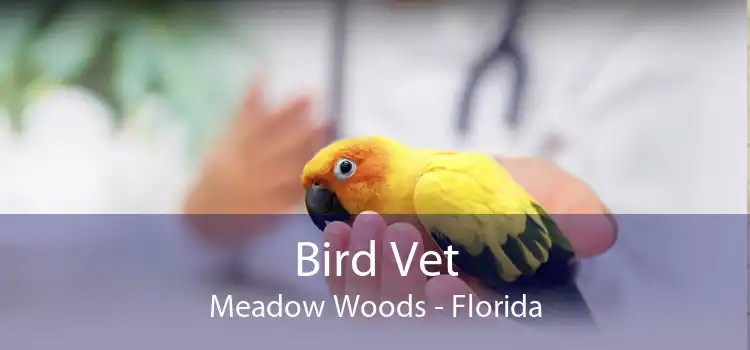 Bird Vet Meadow Woods - Florida