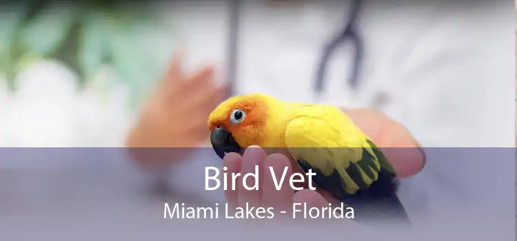 Bird Vet Miami Lakes - Florida