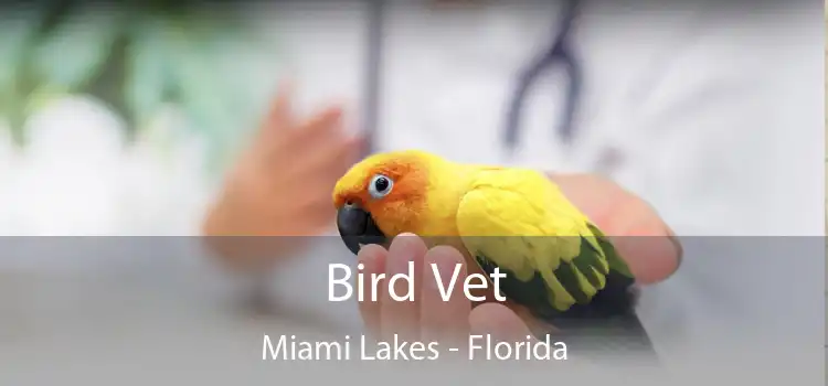 Bird Vet Miami Lakes - Florida