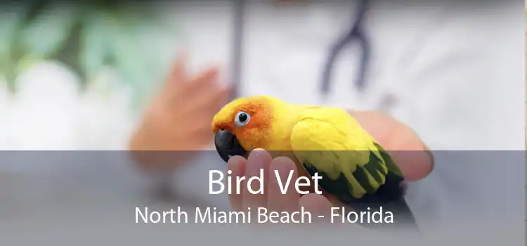Bird Vet North Miami Beach - Florida