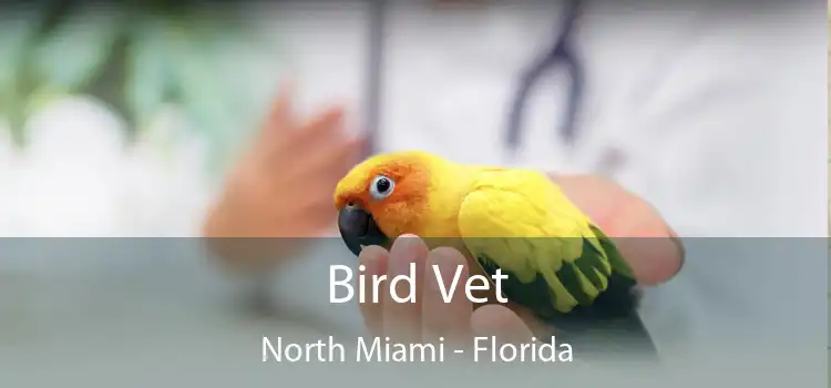 Bird Vet North Miami - Florida