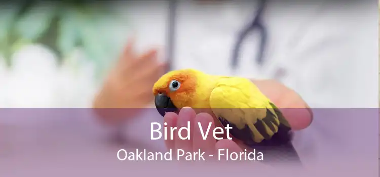 Bird Vet Oakland Park - Florida