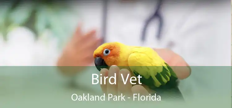 Bird Vet Oakland Park - Florida