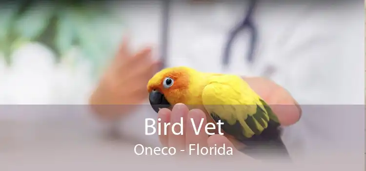 Bird Vet Oneco - Florida