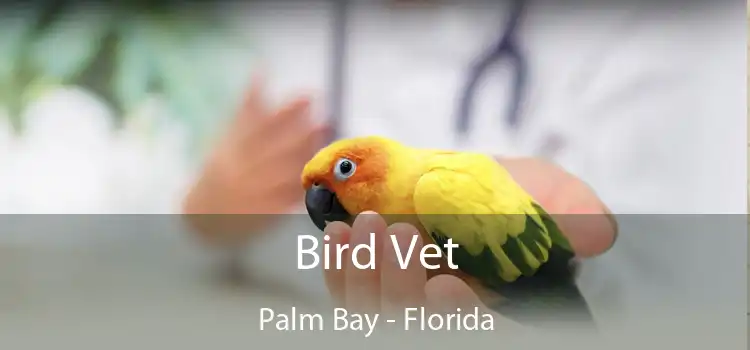 Bird Vet Palm Bay - Florida