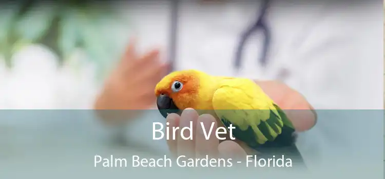 Bird Vet Palm Beach Gardens - Florida