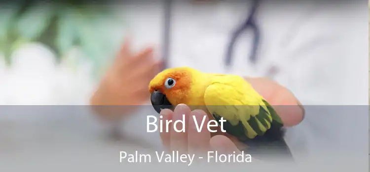 Bird Vet Palm Valley - Florida