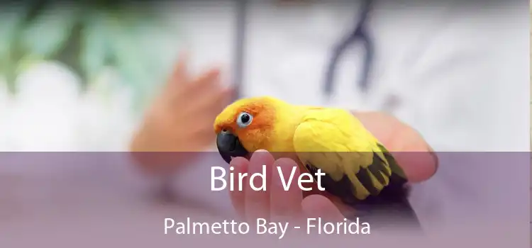 Bird Vet Palmetto Bay - Florida