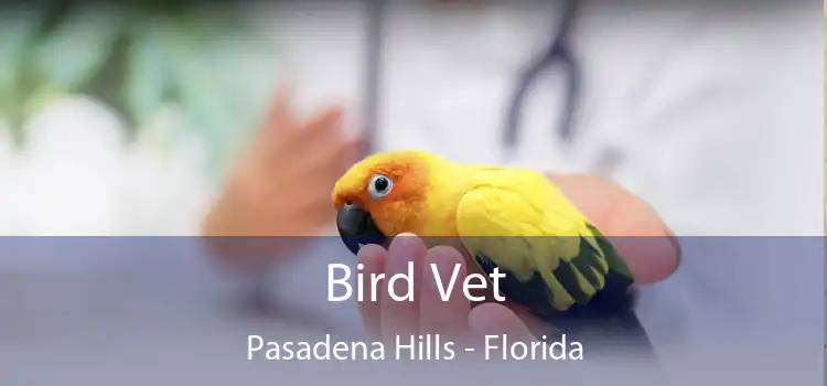 Bird Vet Pasadena Hills - Florida