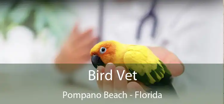 Bird Vet Pompano Beach - Florida